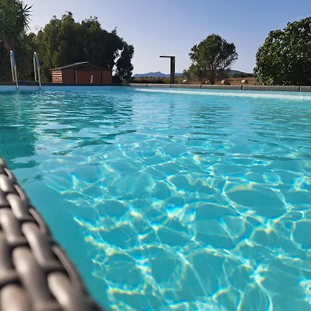 Pool & Bbq Relax - 5 Minuti Dall'aeroporto Di * 阿尔盖罗